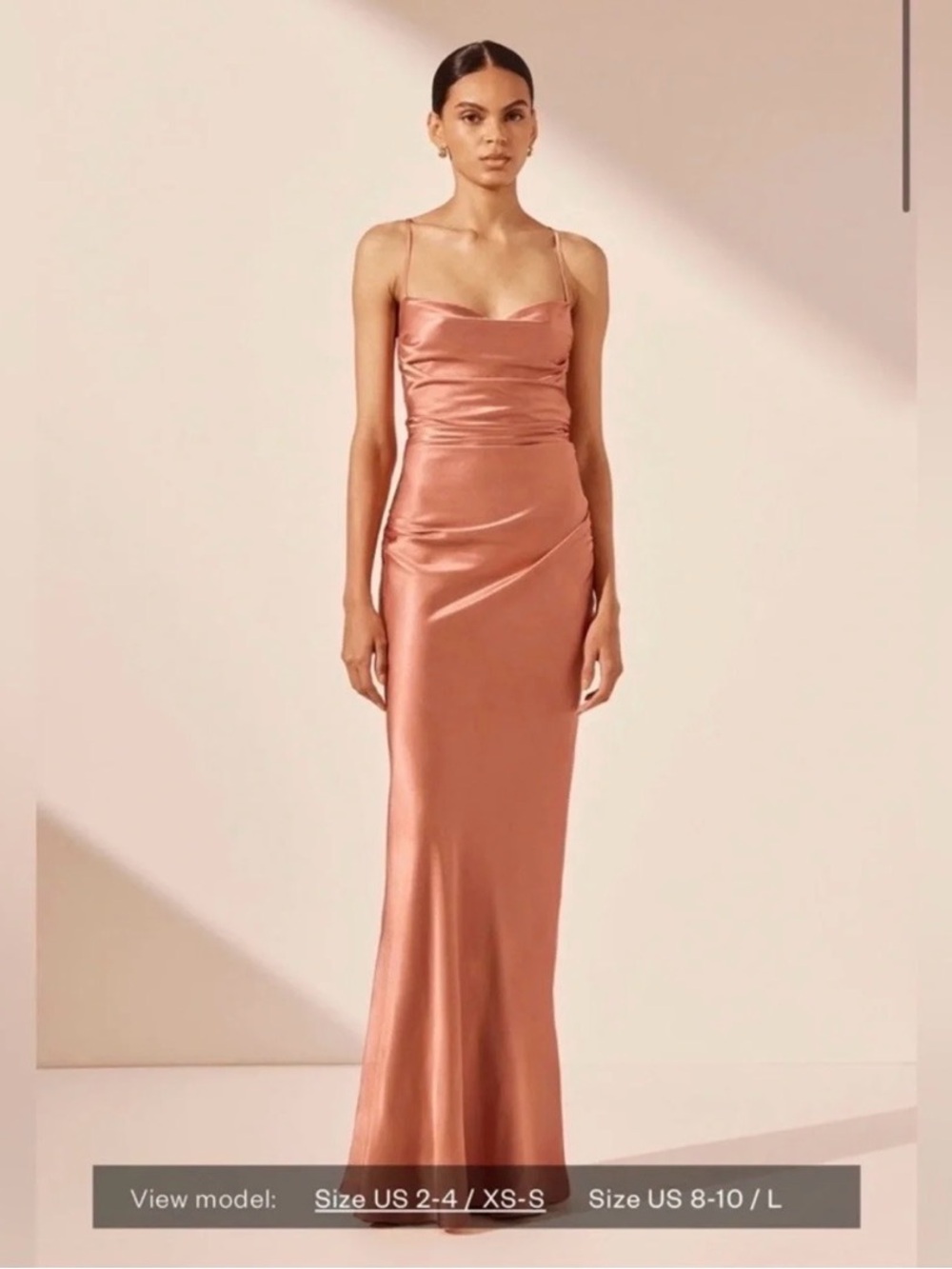 Shona Joy Long Formal Dress Rose Size Small